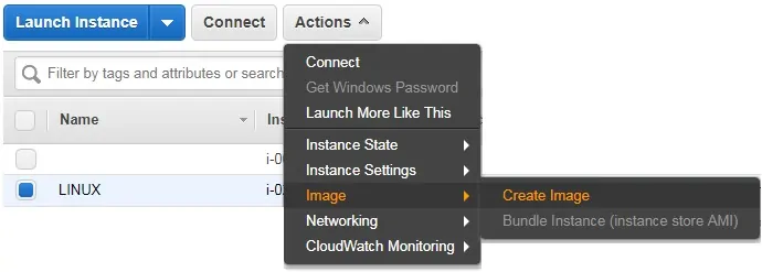 aws ec2 create ami image