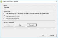 Vmware SSH Service Start