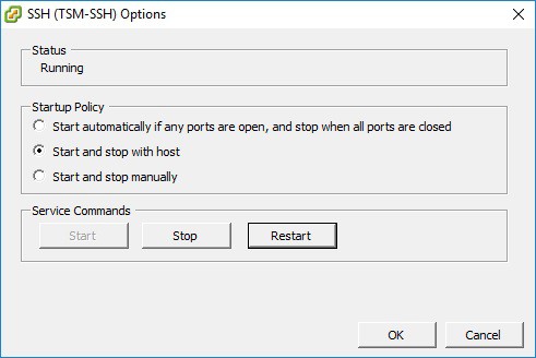 Vmware SSH Service Start
