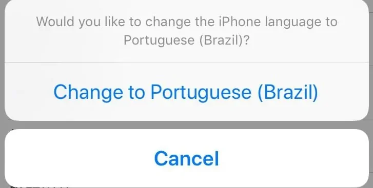 iPhone Changing Language