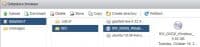 Vmware ESXi Windows Vm Datastore