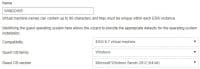 Vmwre ESXI Windows Virtual machine