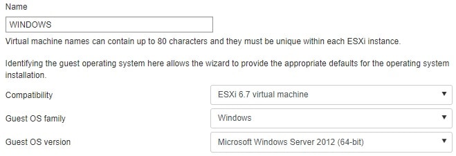 Vmwre ESXI Windows Virtual machine