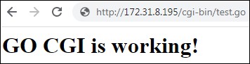 Apache CGI GO