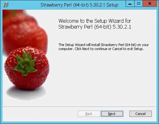 Strawberry perl installation Windows