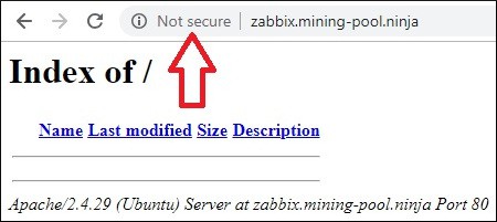 Zabbix HTTP Virtual Host Zabbix HTTP Virtual Host