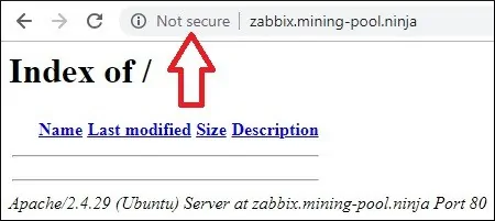 Zabbix HTTP Virtual Host