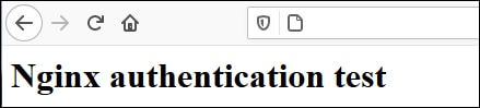 Nginx authentication test Nginx authentication test