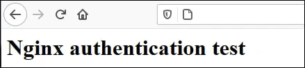 Nginx authentication test