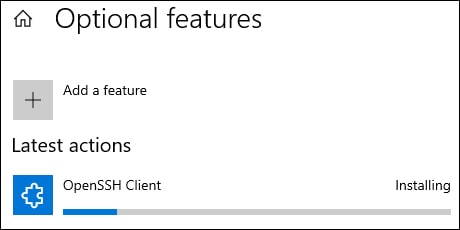Windows 10 - openssh client installation