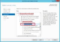 IIS - Basic authentication feature