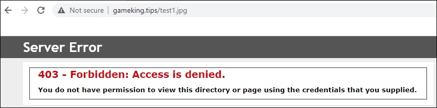 IIS - Deny image direct access