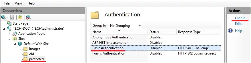 IIS - Enable basic authentication